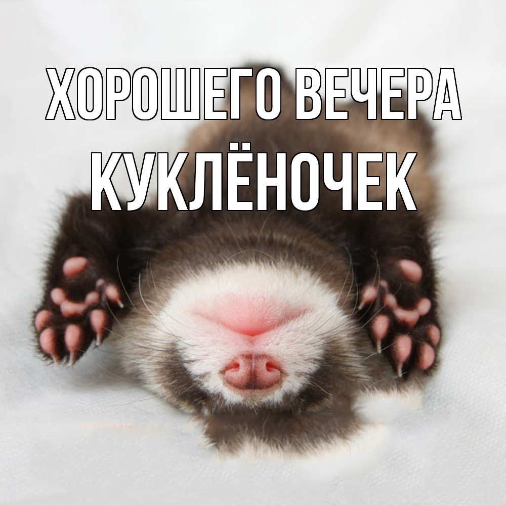 Открытка  для любимых и родных. куклёночек, Хорошего вечера  