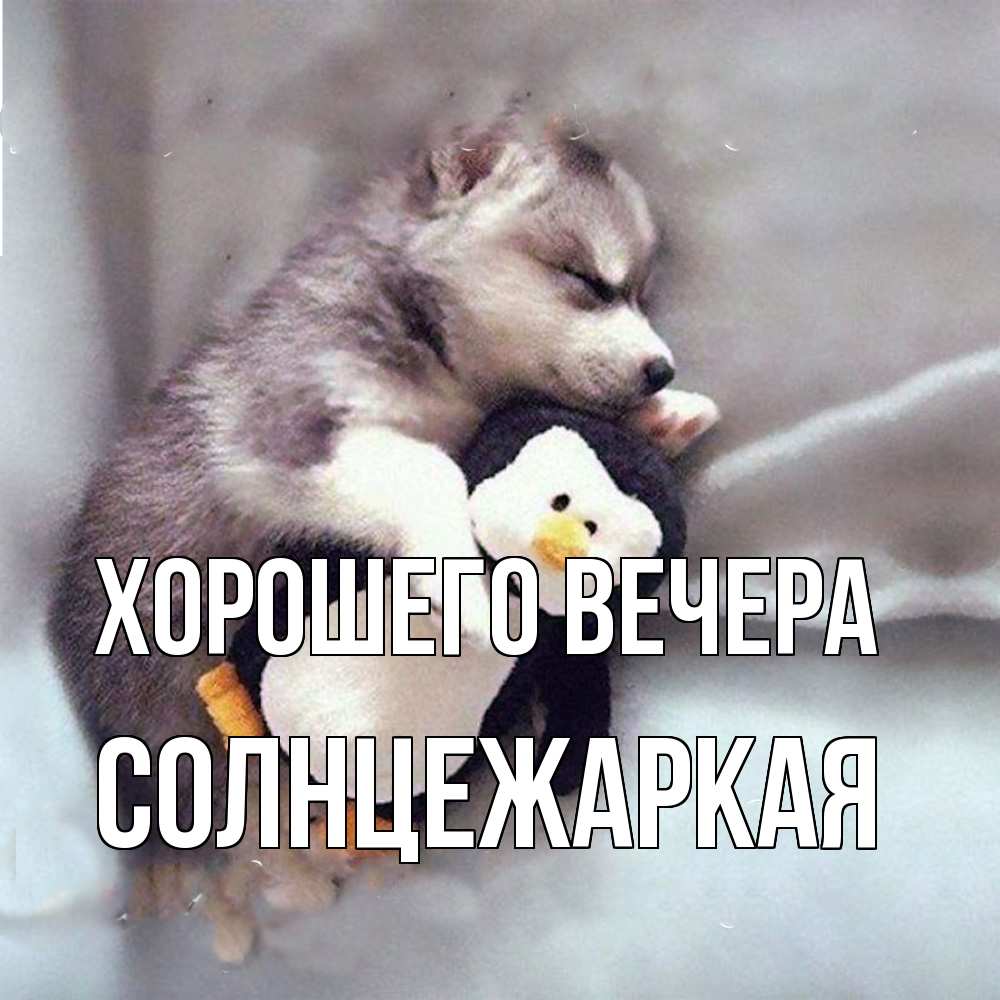 Открытка  для любимых и родных. солнцежаркая, Хорошего вечера  