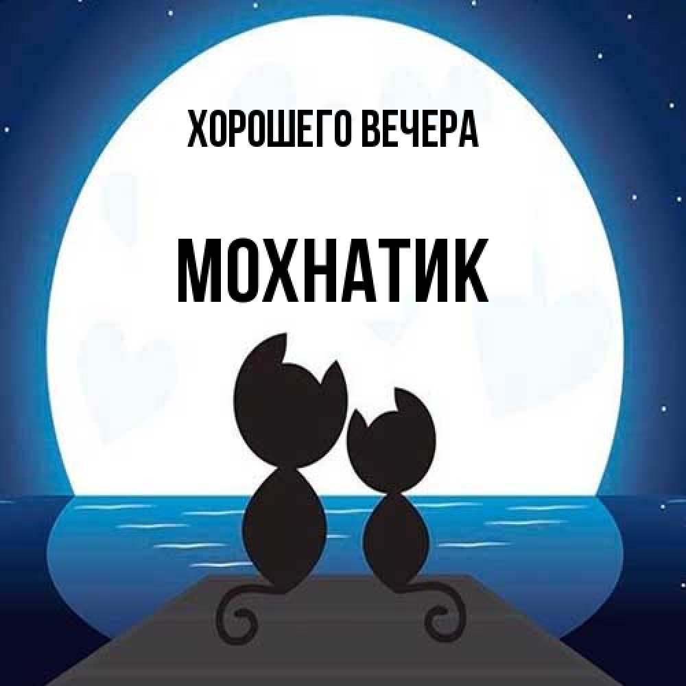 Открытка  для любимых и родных. мохнатик, Хорошего вечера  