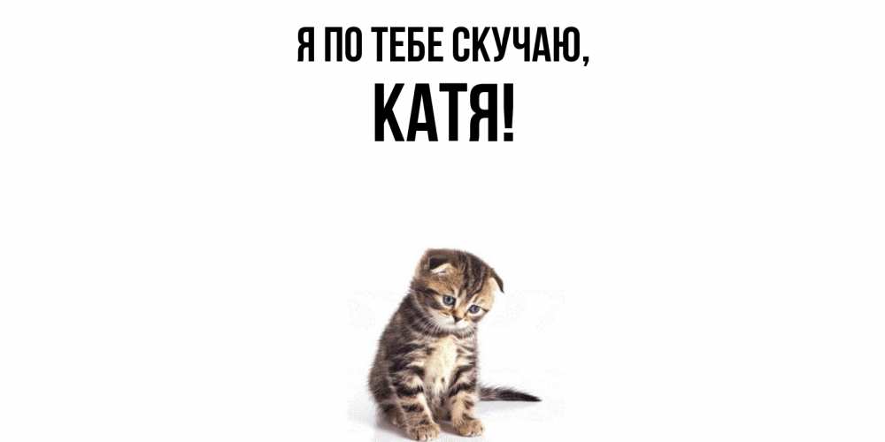 Катя про котенка