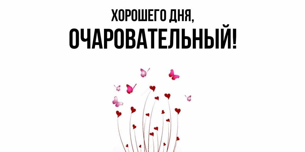 Открытка  для любимых и родных. очаровательный, Хорошего дня  