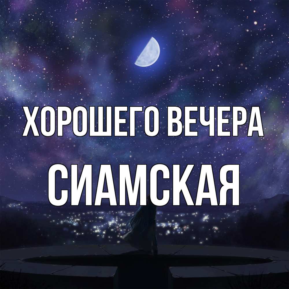 Картинка Хорошего вечера, сиамская