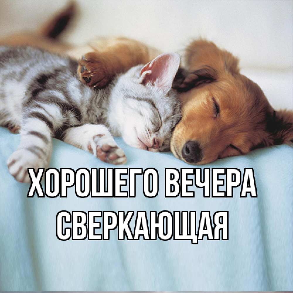 Открытка  для любимых и родных. сверкающая, Хорошего вечера  