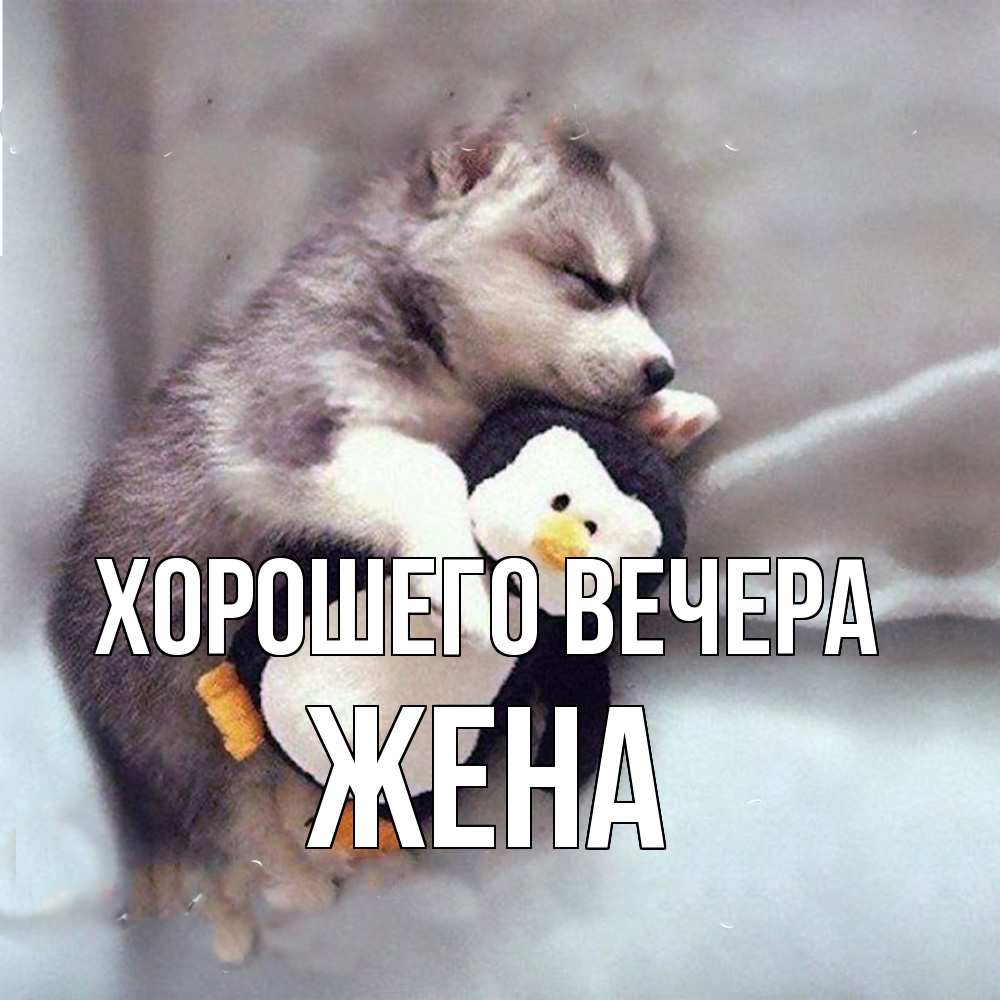 Картинка Хорошего вечера, Жена