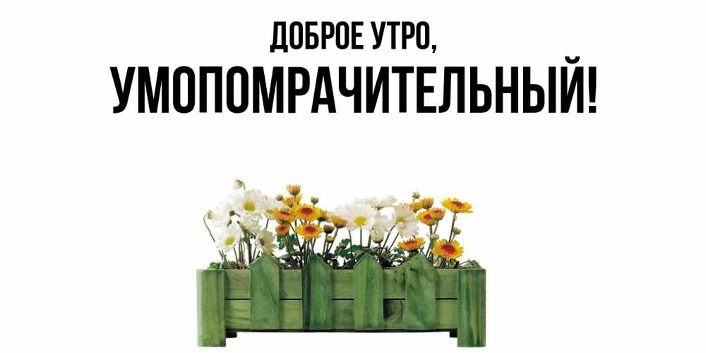 Картинка Доброе утро, умопомрачительный