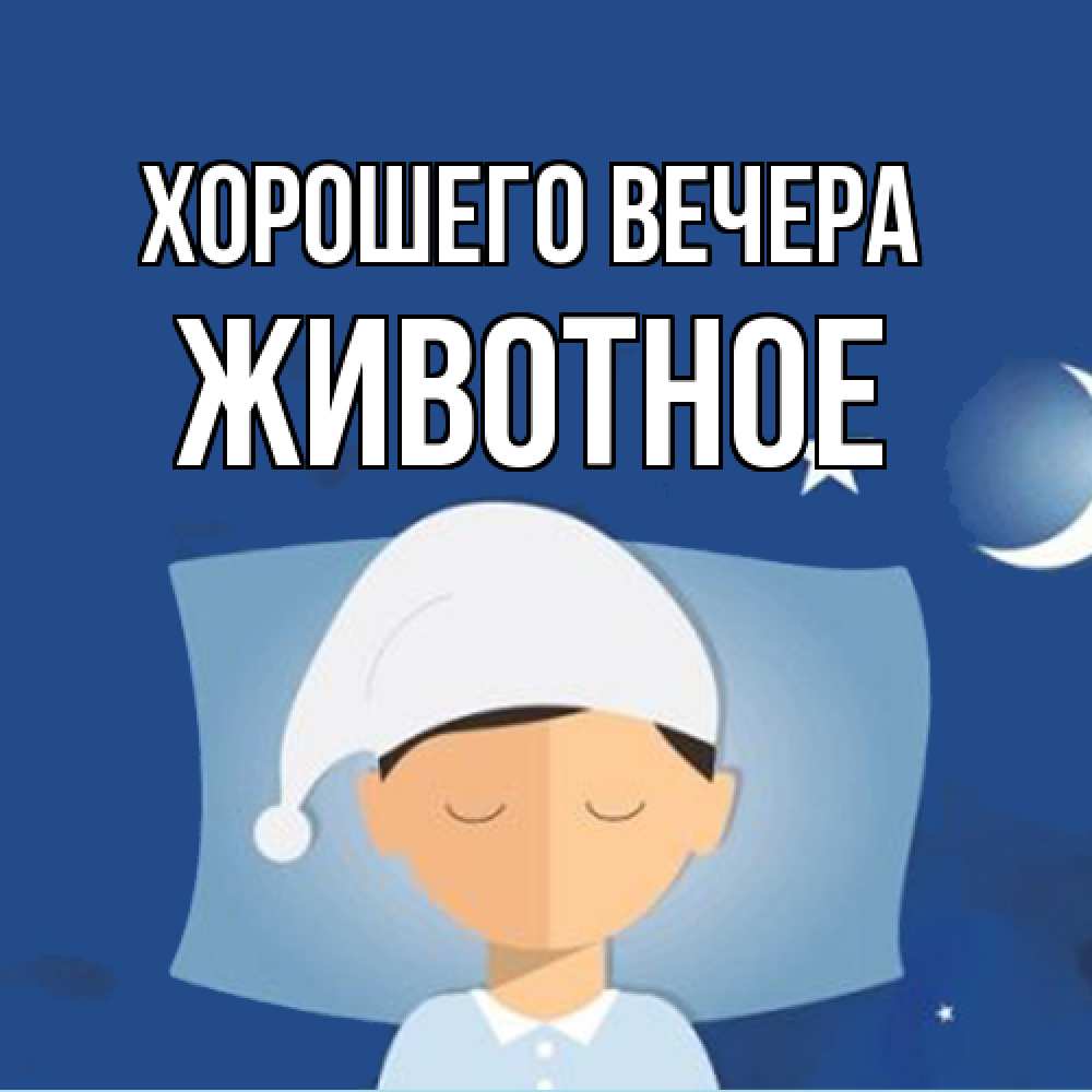 Открытка  для любимых и родных. животное, Хорошего вечера  