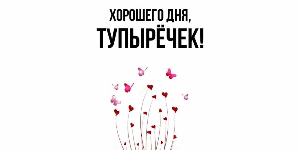 Открытка  для любимых и родных. тупырёчек, Хорошего дня  