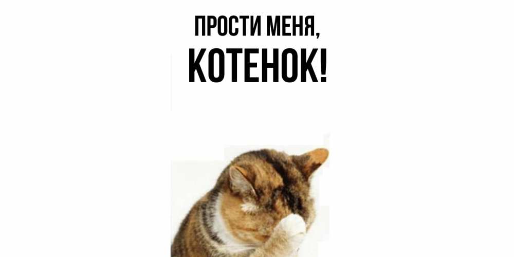 Открытка  для любимых и родных. Котенок, Прости меня  