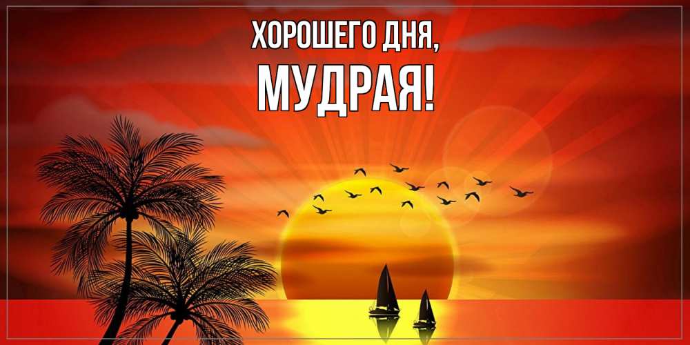 Открытка  для любимых и родных. мудрая, Хорошего дня  