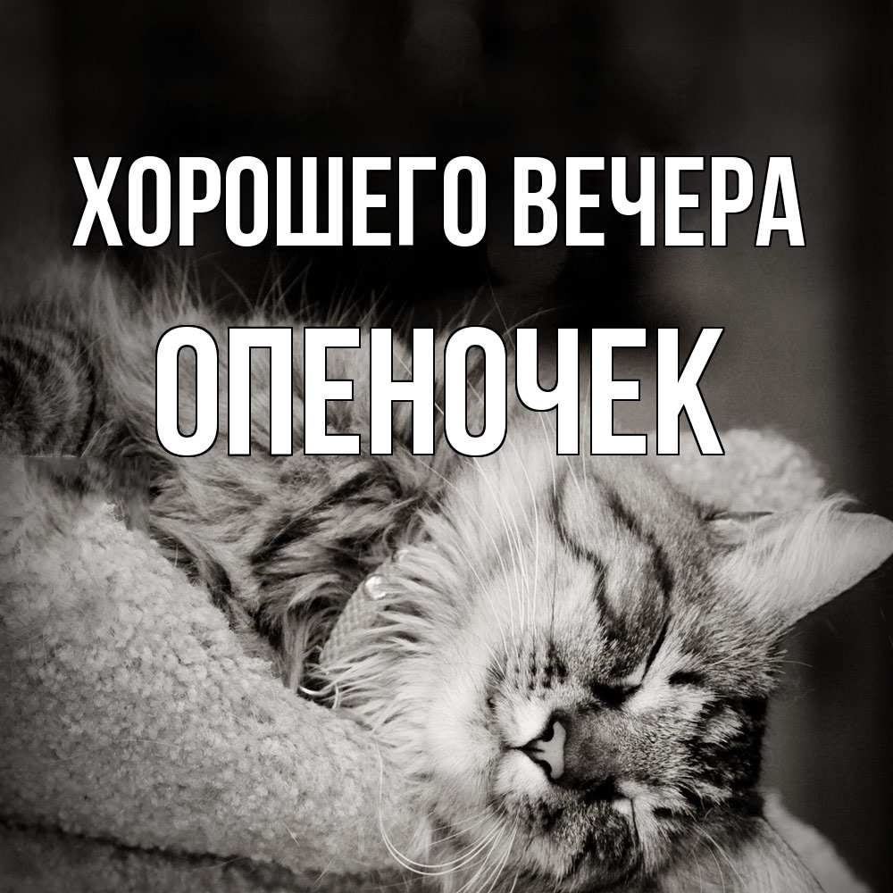 Открытка  для любимых и родных. опеночек, Хорошего вечера  