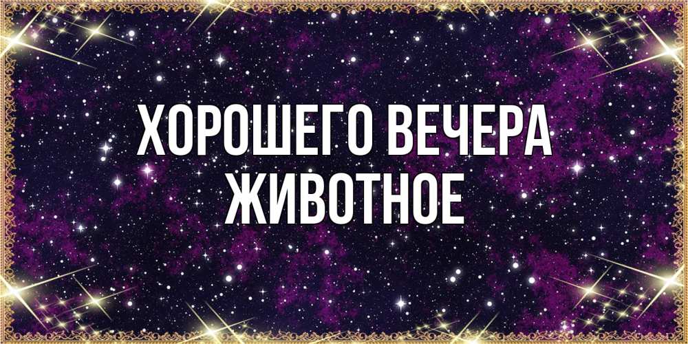 Картинка Хорошего вечера, животное