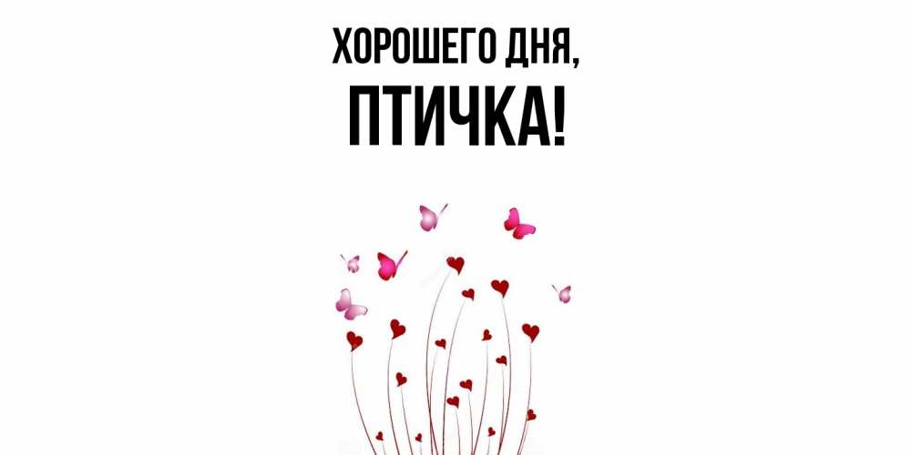 Картинка Хорошего дня, птичка