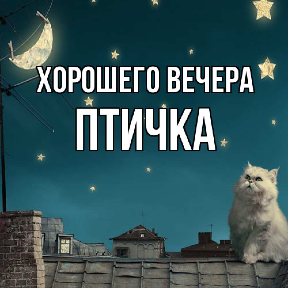 Картинка Хорошего вечера, птичка