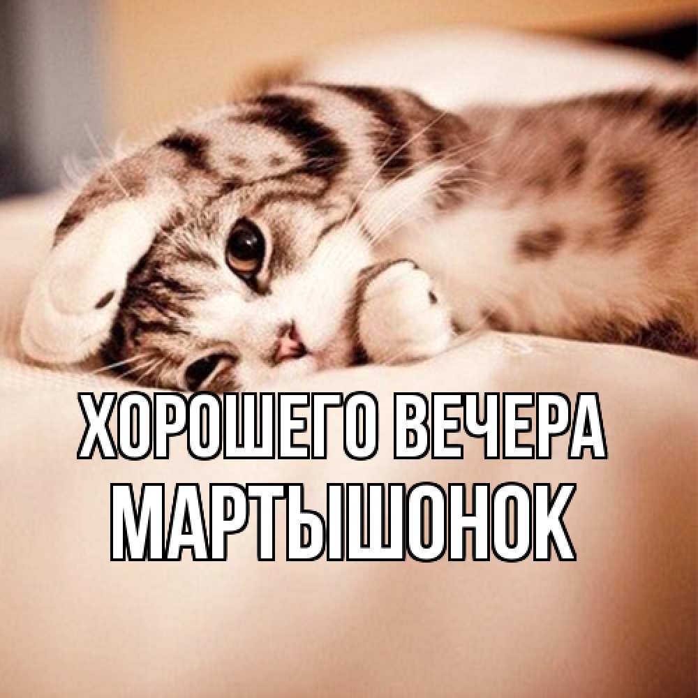 Открытка  для любимых и родных. маpтышонок, Хорошего вечера  