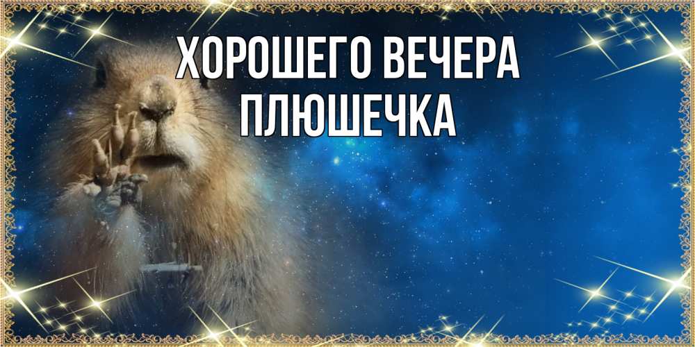 Открытка  для любимых и родных. плюшечка, Хорошего вечера  