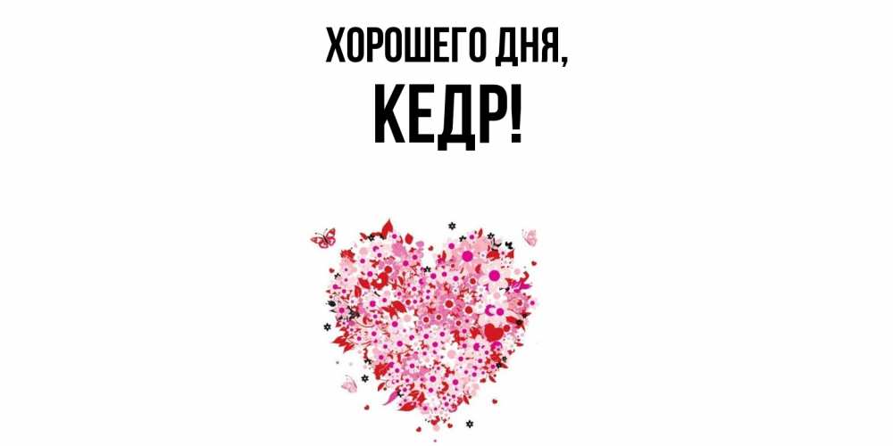 Открытка  для любимых и родных. кедр, Хорошего дня  