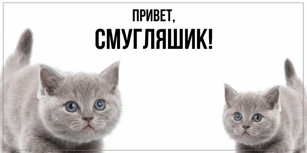 Открытка  для любимых и родных. смугляшик, Привет  