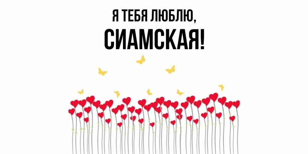 Открытка  для любимых и родных. сиамская, Я тебя люблю  
