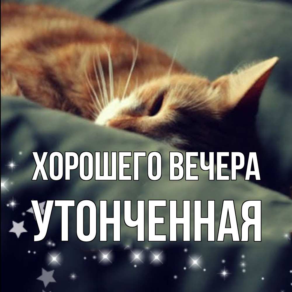 Картинка Хорошего вечера, утонченная