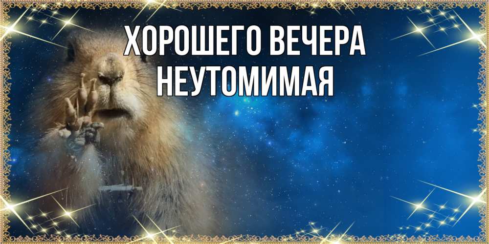 Картинка Хорошего вечера, неутомимая