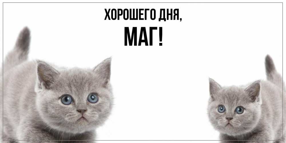 Картинка Хорошего дня, маг