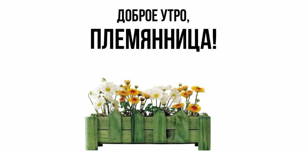 Открытка с именем, Племянница, Доброе утро