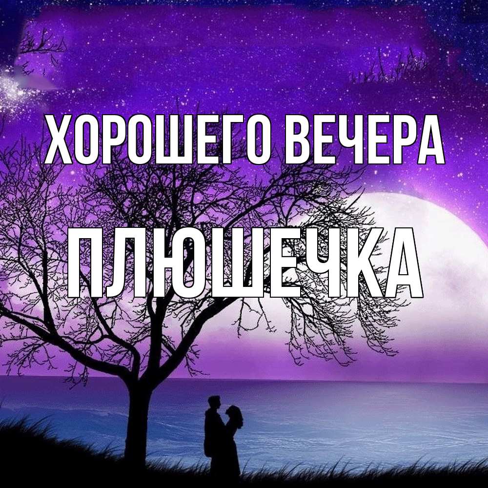 Открытка  для любимых и родных. плюшечка, Хорошего вечера  