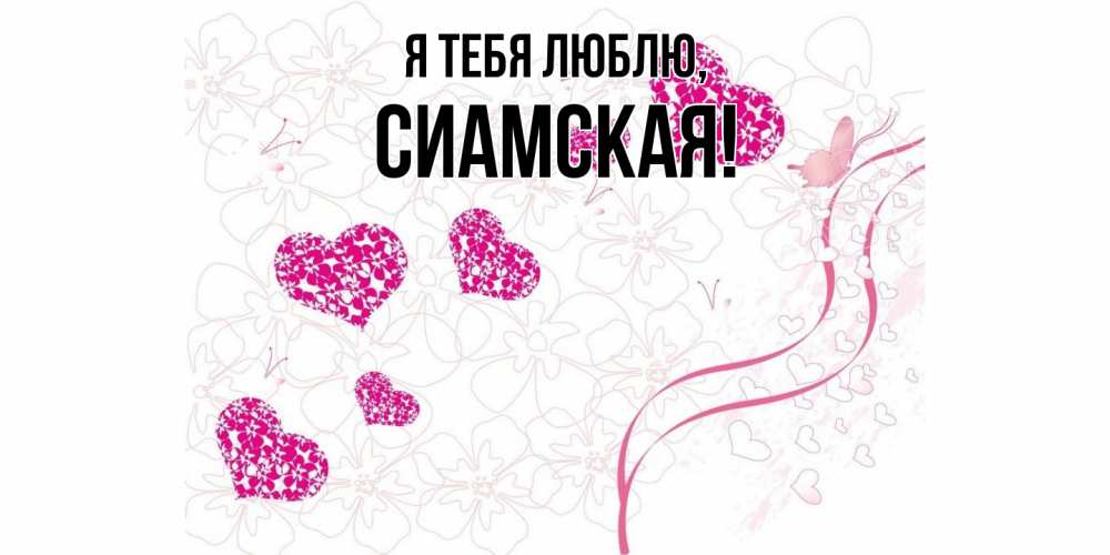 Картинка Я тебя люблю, сиамская