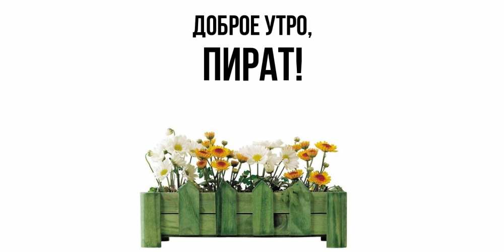 Картинка Доброе утро, пират