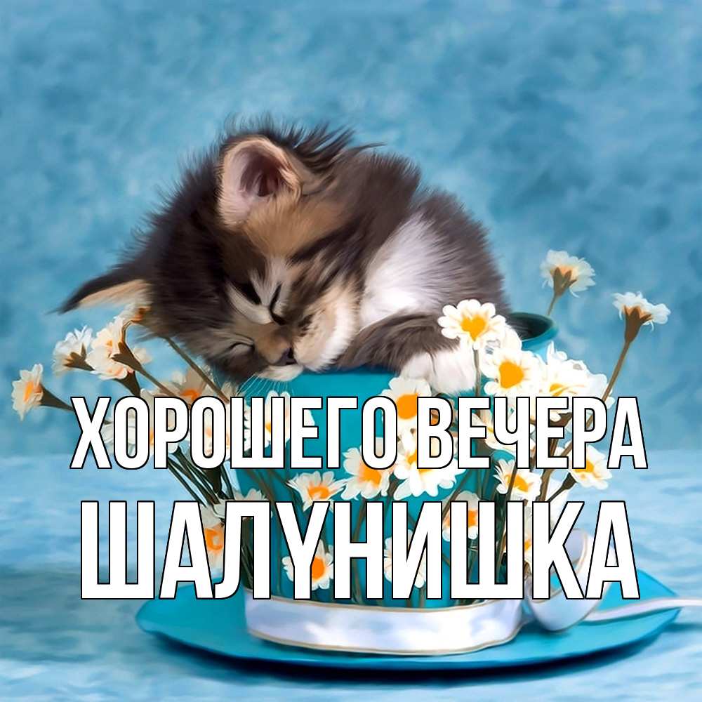 Картинка Хорошего вечера, шалyнишка