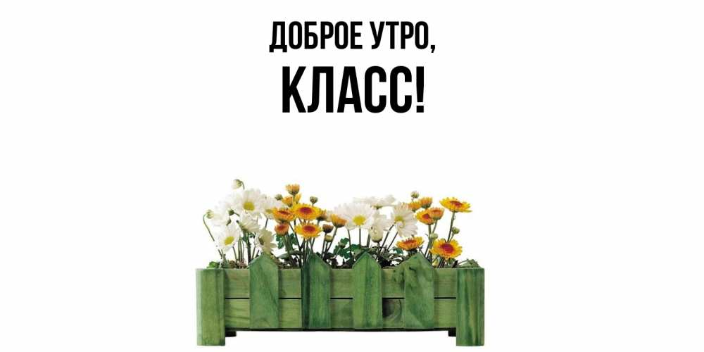 Открытка  для любимых и родных. класс, Доброе утро  