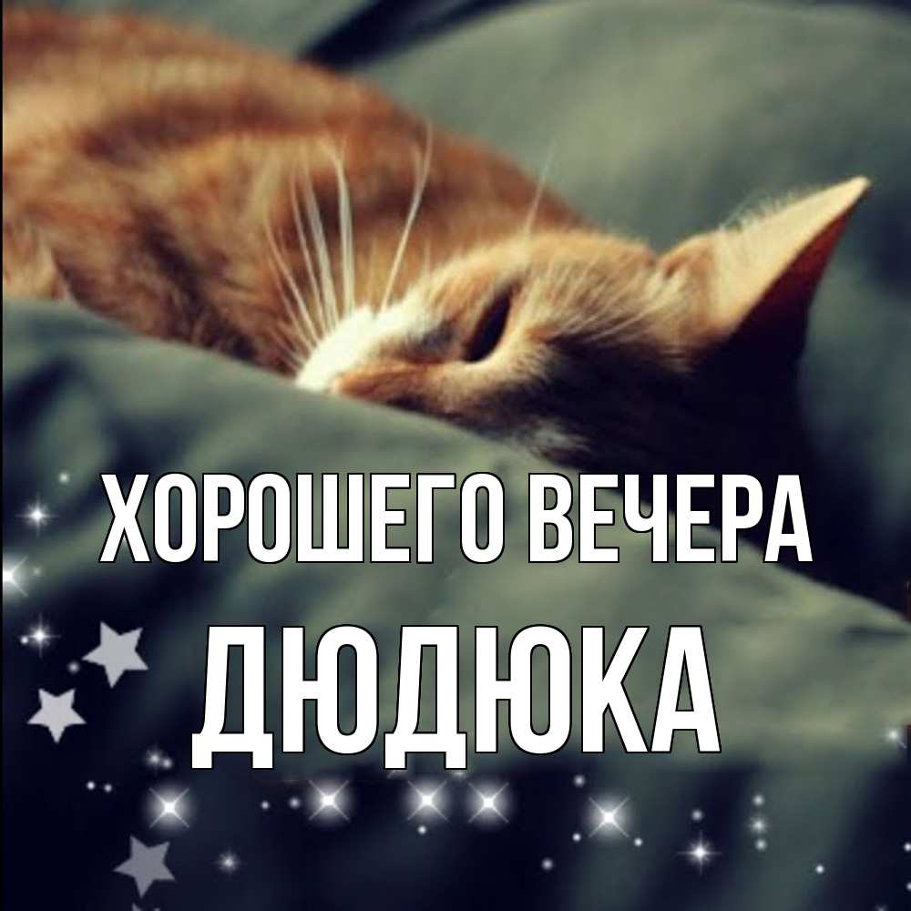 Картинка Хорошего вечера, дюдюка