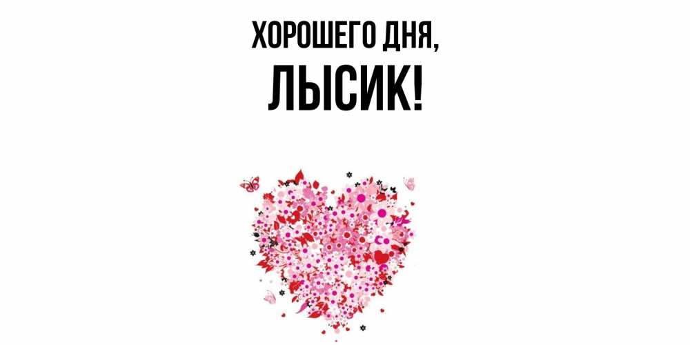 Открытка  для любимых и родных. лысик, Хорошего дня  