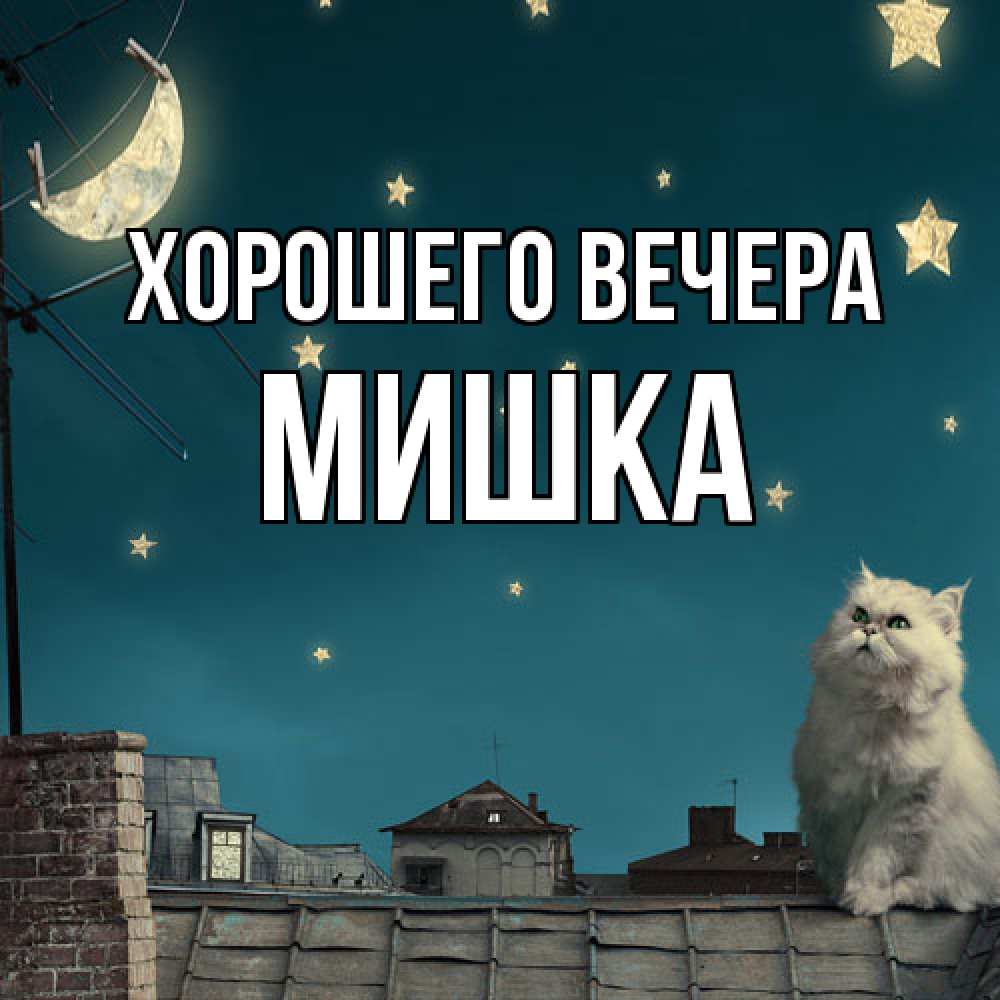 Картинка Хорошего вечера, мишка