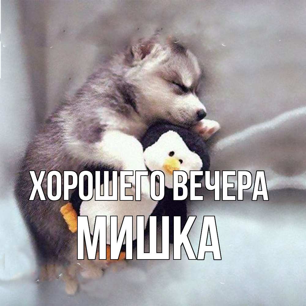 Картинка Хорошего вечера, мишка
