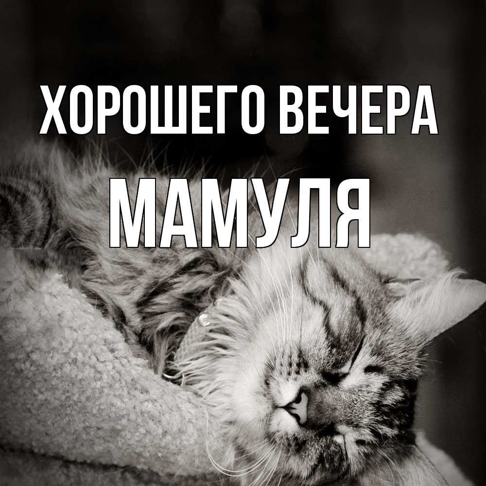 Открытка  для любимых и родных. Мамуля, Хорошего вечера  