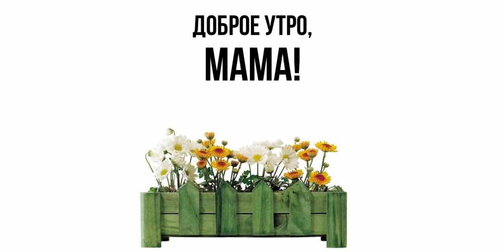 Открытка  для любимых и родных. Мама, Доброе утро  