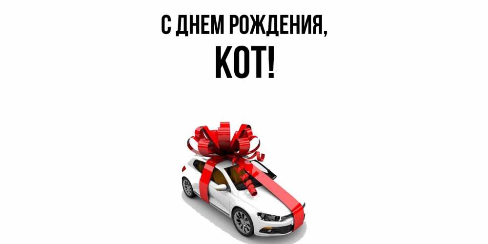 Открытка  для любимых и родных. кот, С днем рождения  