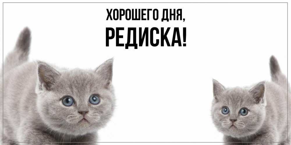 Картинка Хорошего дня, редиска