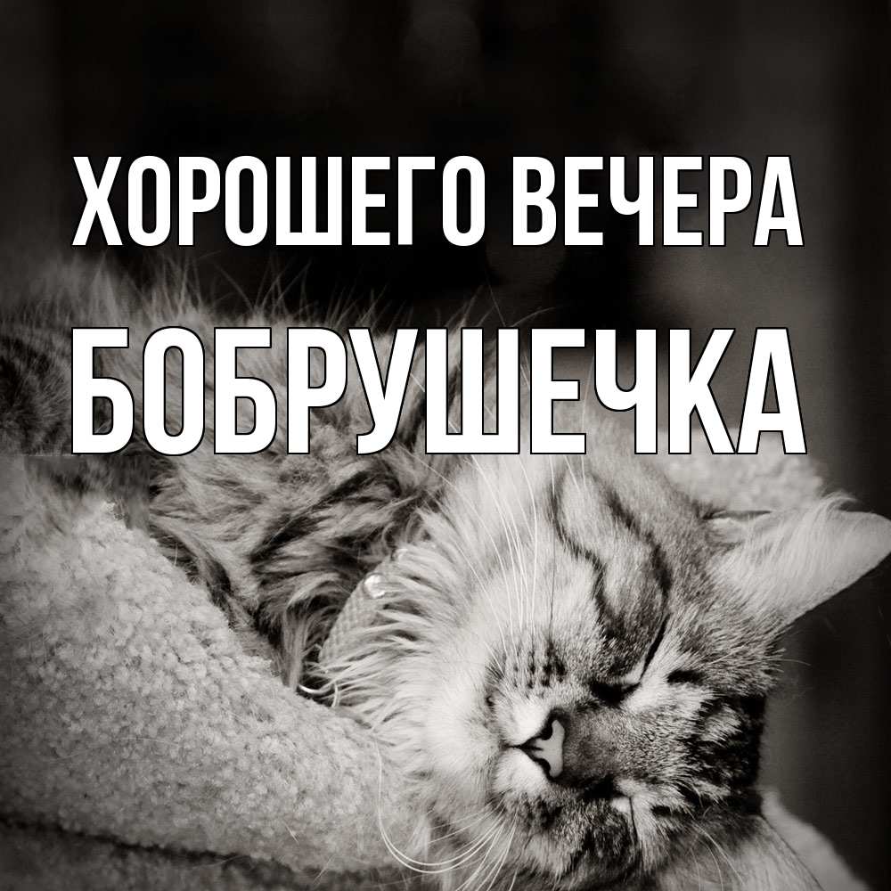 Картинка Хорошего вечера, бобрушечка