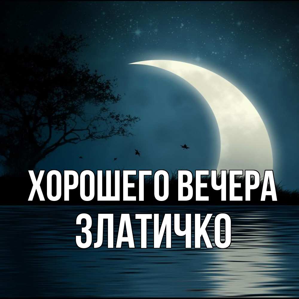 Открытка  для любимых и родных. златичко, Хорошего вечера  