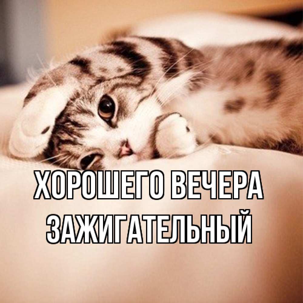 Открытка  для любимых и родных. зажигательный, Хорошего вечера  