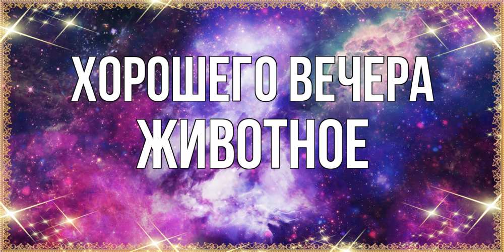 Картинка Хорошего вечера, животное