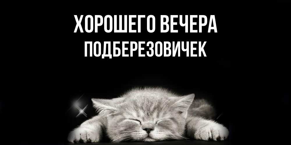 Открытка  для любимых и родных. подберезовичек, Хорошего вечера  