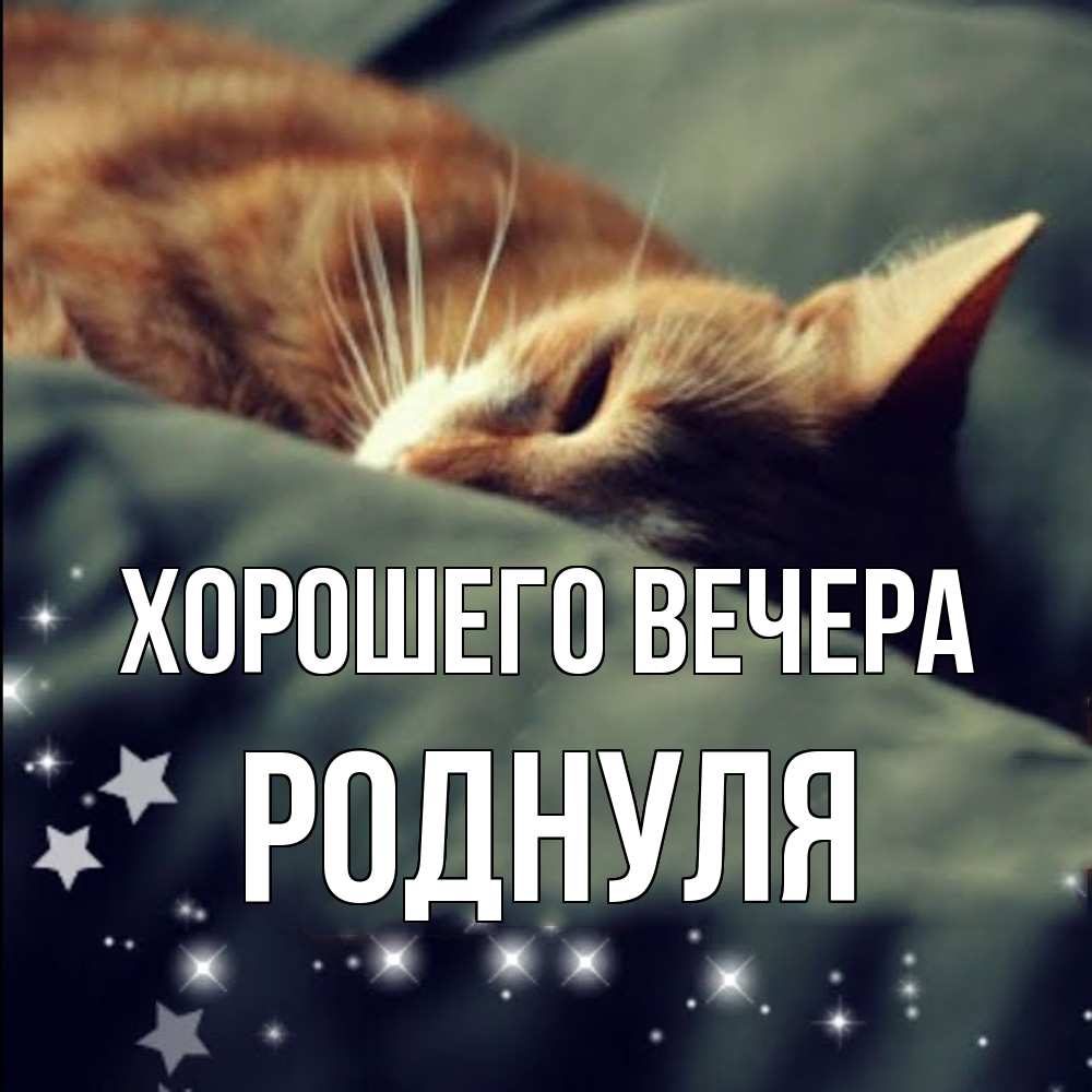 Открытка  для любимых и родных. роднуля, Хорошего вечера  