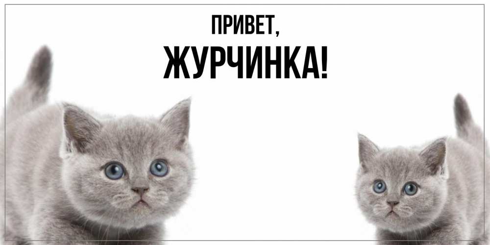 Открытка  для любимых и родных. журчинка, Привет  