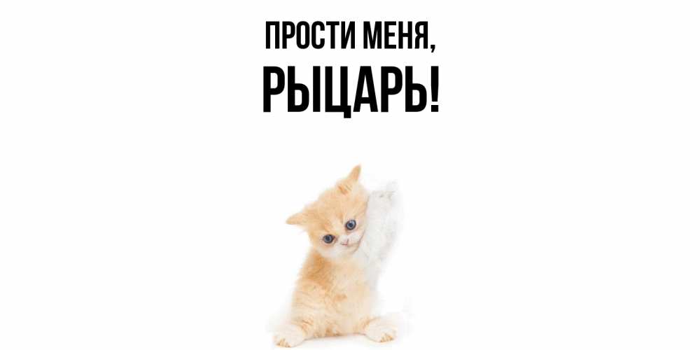 Картинка Прости меня, рыцарь