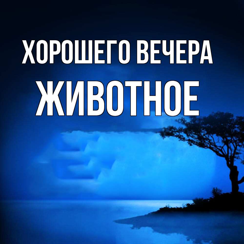 Картинка Хорошего вечера, животное
