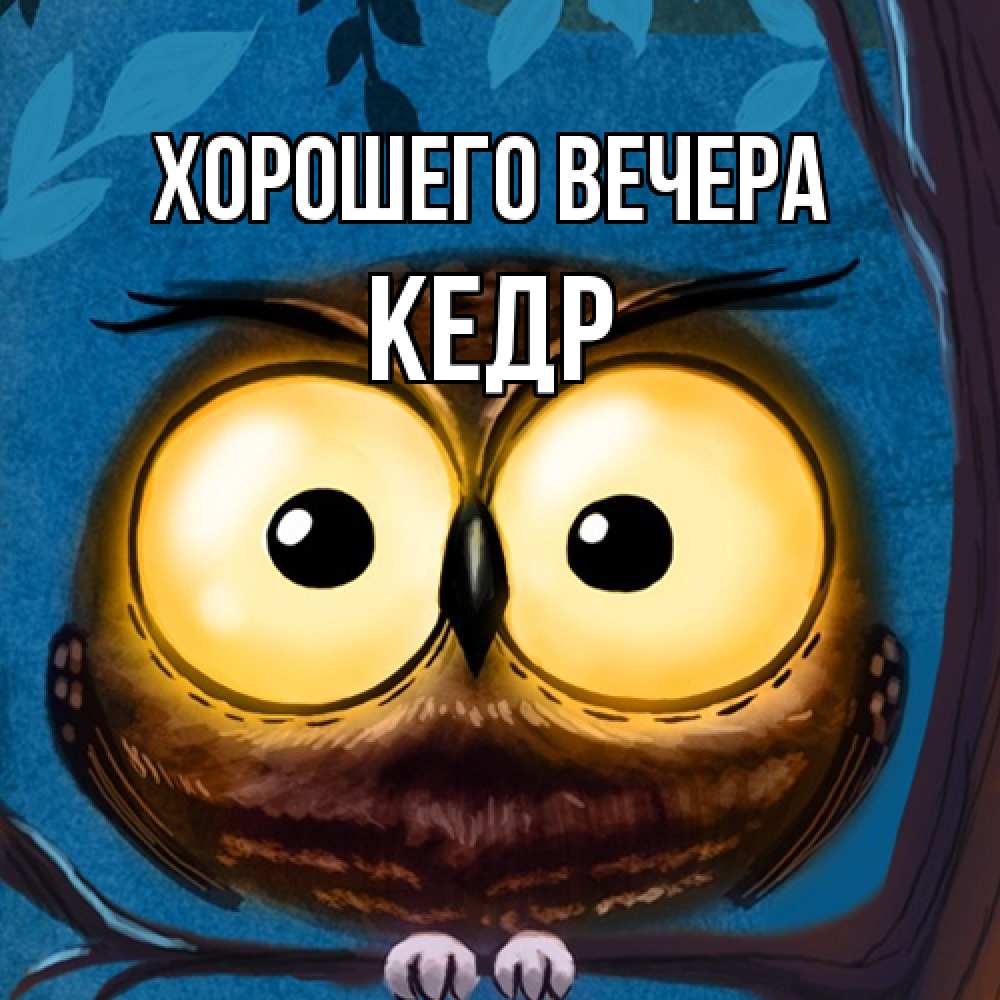 Открытка  для любимых и родных. кедр, Хорошего вечера  