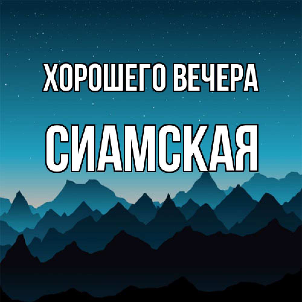 Картинка Хорошего вечера, сиамская